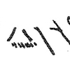 inscription of siglum KRS 2942