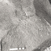 inscription of siglum KRS 2993