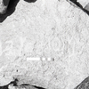 inscription of siglum KRS 3001