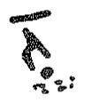 inscription of siglum KRS 3054