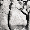 inscription of siglum KRS 307