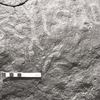 inscription of siglum KRS 307