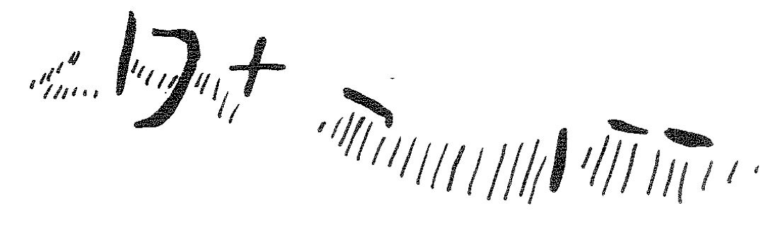 inscription of siglum KRS 3104