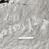 inscription of siglum KRS 3138