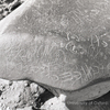 inscription of siglum KRS 3223