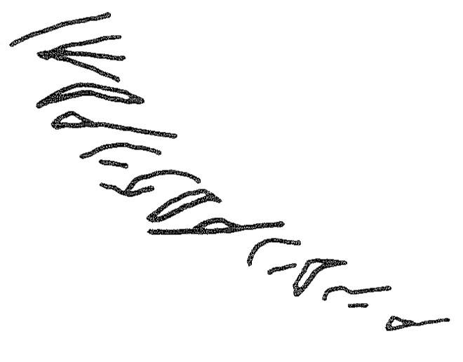 inscription of siglum KRS 411