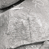 inscription of siglum KRS 560