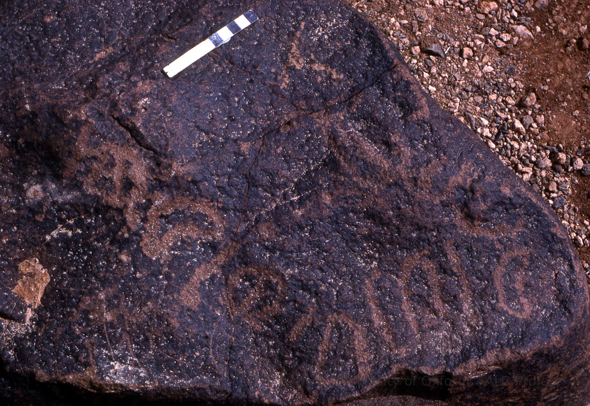 inscription of siglum KRS 598