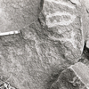 inscription of siglum KRS 631