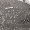 inscription of siglum KRS 64