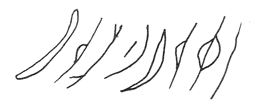 inscription of siglum KRS 659