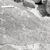 inscription of siglum KRS 665