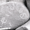 inscription of siglum KRS 684