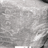 inscription of siglum KRS 686