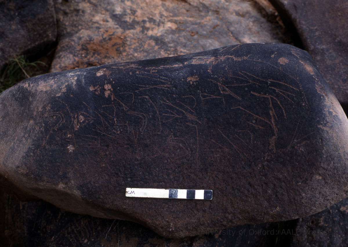 inscription of siglum KRS 695