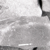 inscription of siglum KRS 695