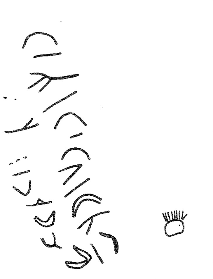 inscription of siglum KRS 748