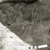 inscription of siglum KRS 793