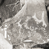 inscription of siglum KRS 815