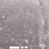 inscription of siglum KRS 864