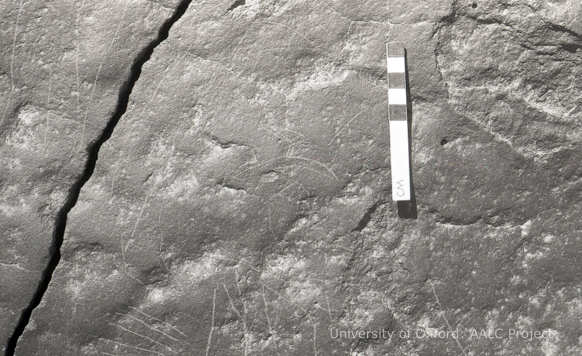 inscription of siglum KRS 868