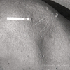 inscription of siglum KRS 972