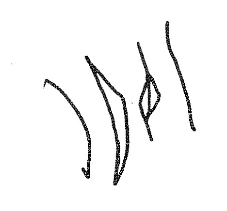 inscription of siglum KRS 973