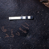 inscription of siglum KRS 974