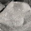 inscription of siglum KRS 976