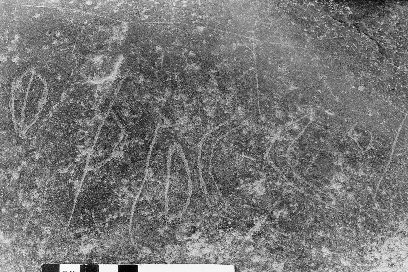 inscription of siglum KWQ 113