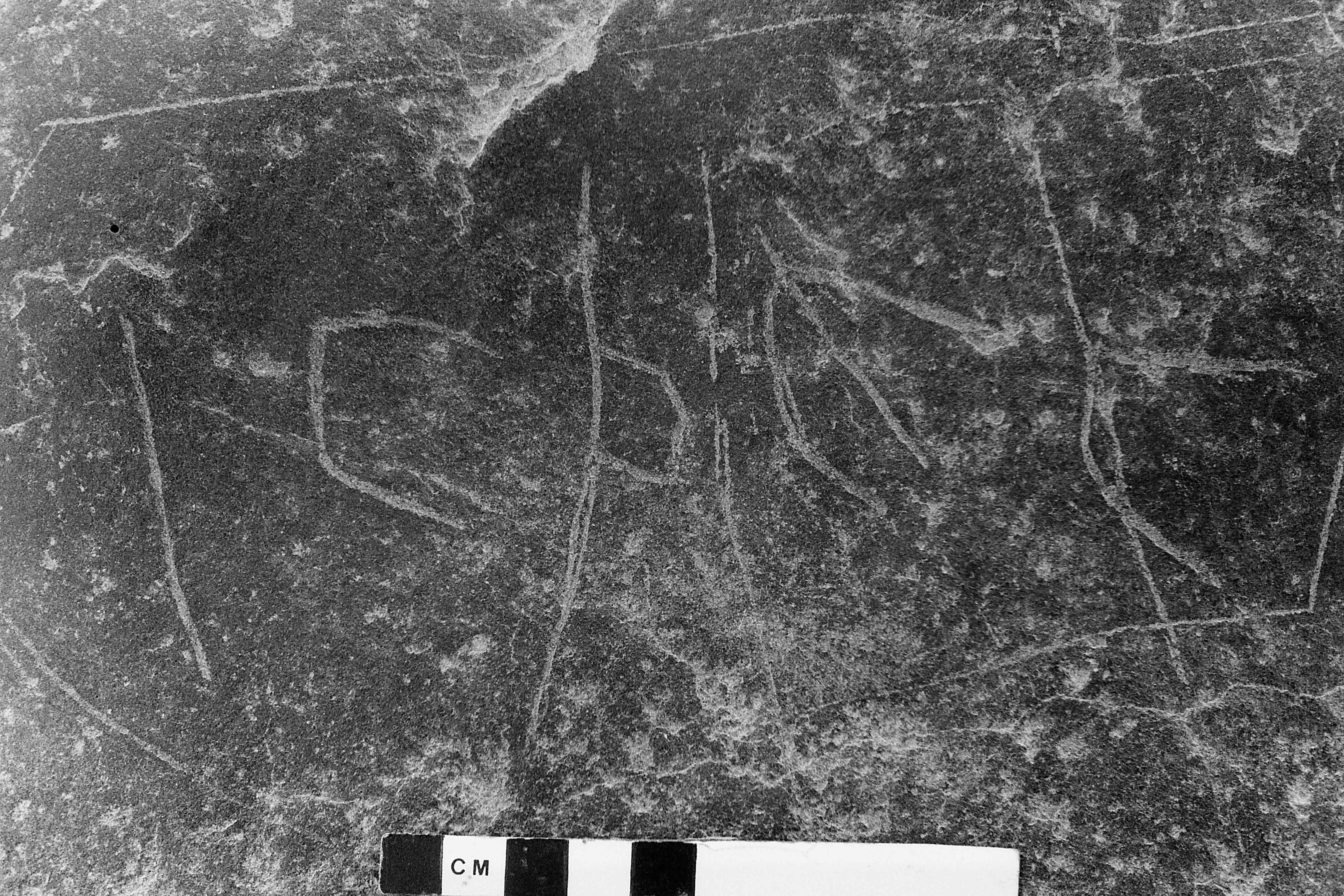 inscription of siglum KWQ 113