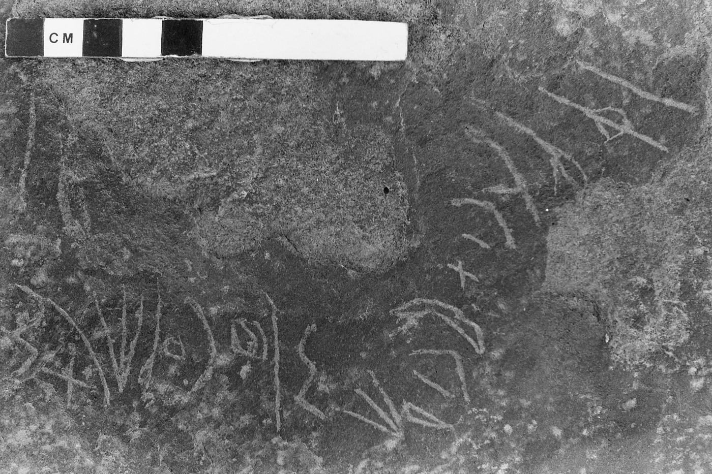 inscription of siglum KWQ 83