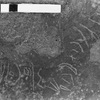 inscription of siglum KWQ 83