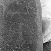 inscription of siglum KWQ 88