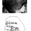 inscription of siglum KhNSJ 1