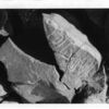 inscription of siglum KhU 47