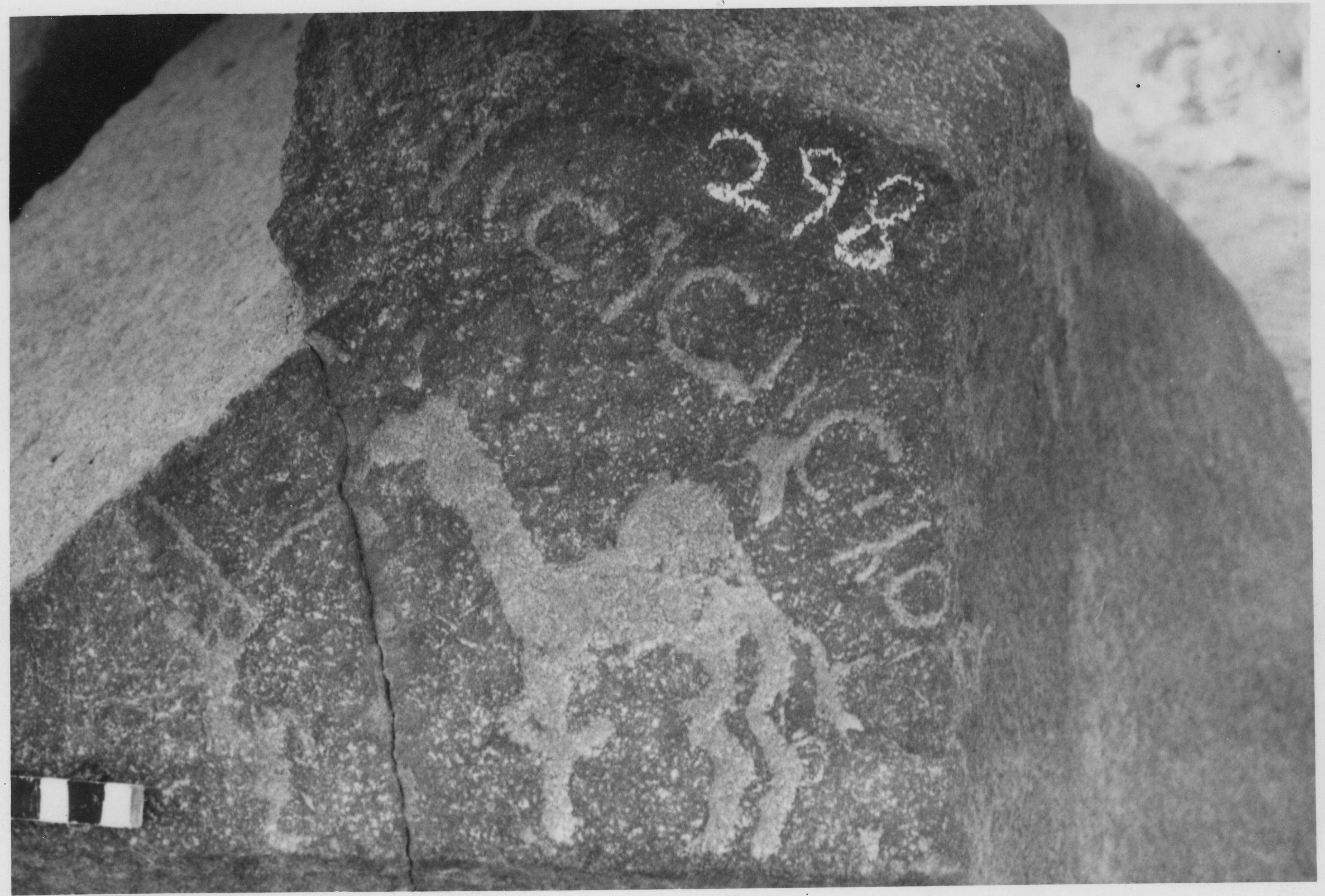 inscription of siglum KnSS 2