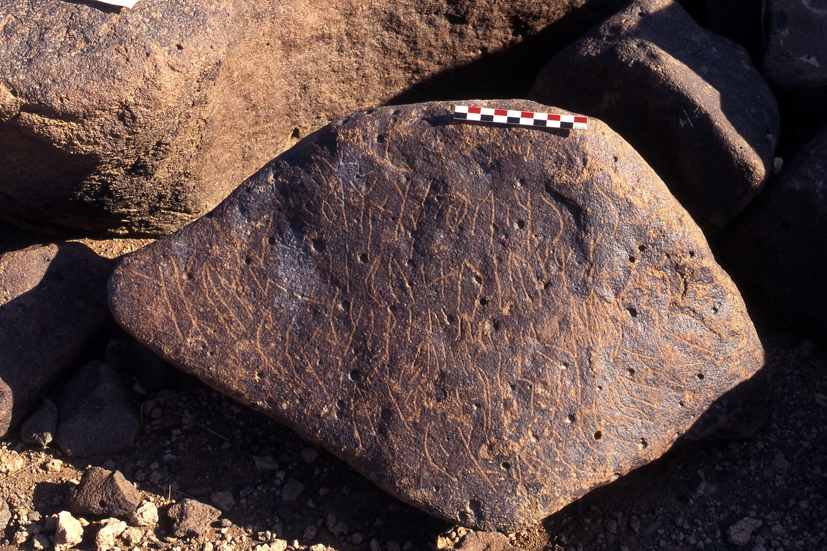 inscription of siglum LP 237
