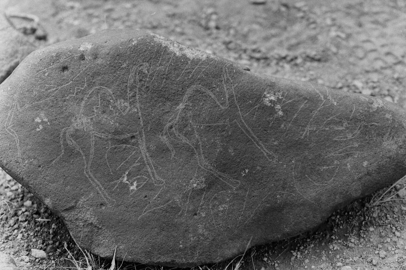 inscription of siglum LP 327