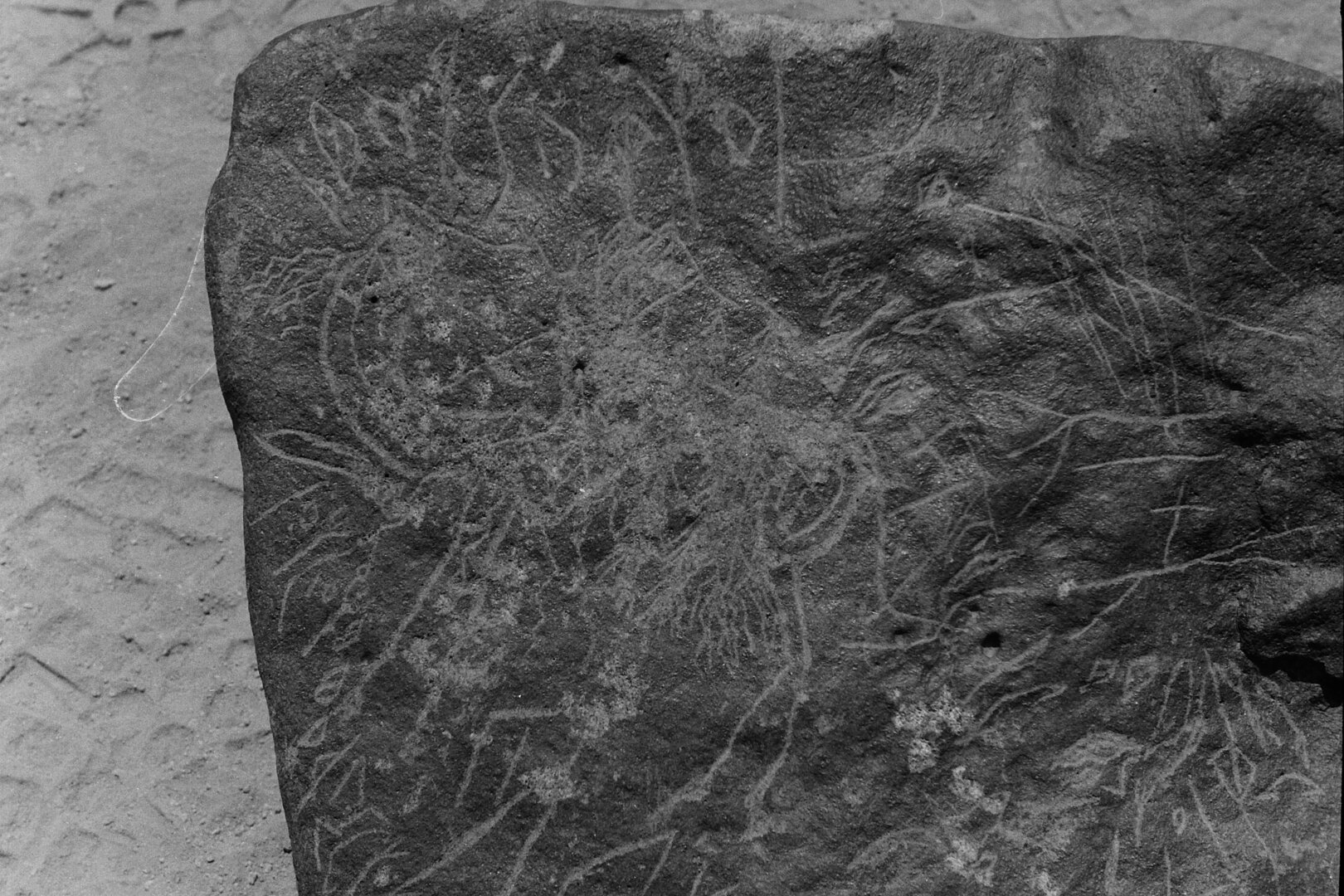 inscription of siglum LP 333