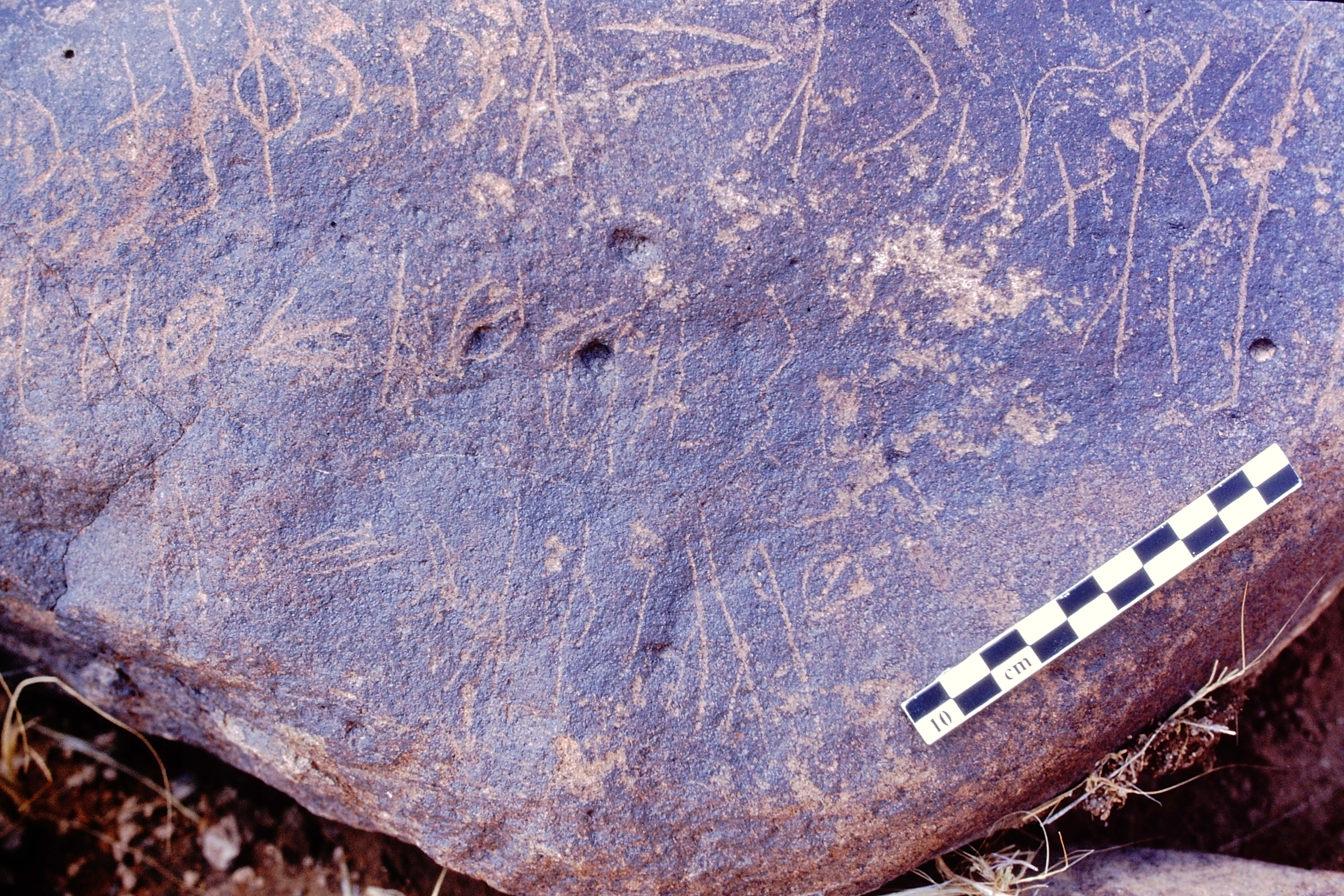 inscription of siglum LP 335