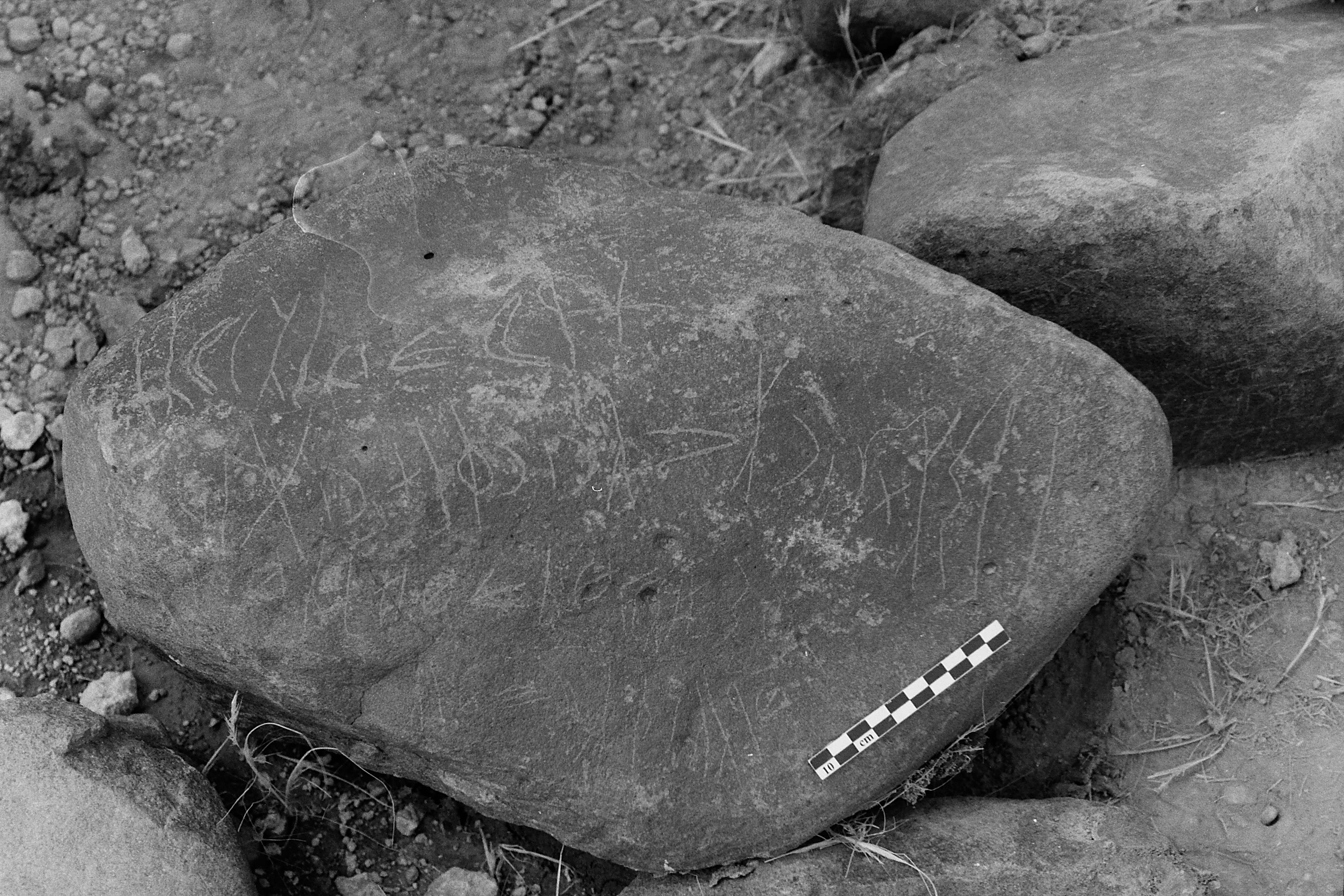 inscription of siglum LP 335