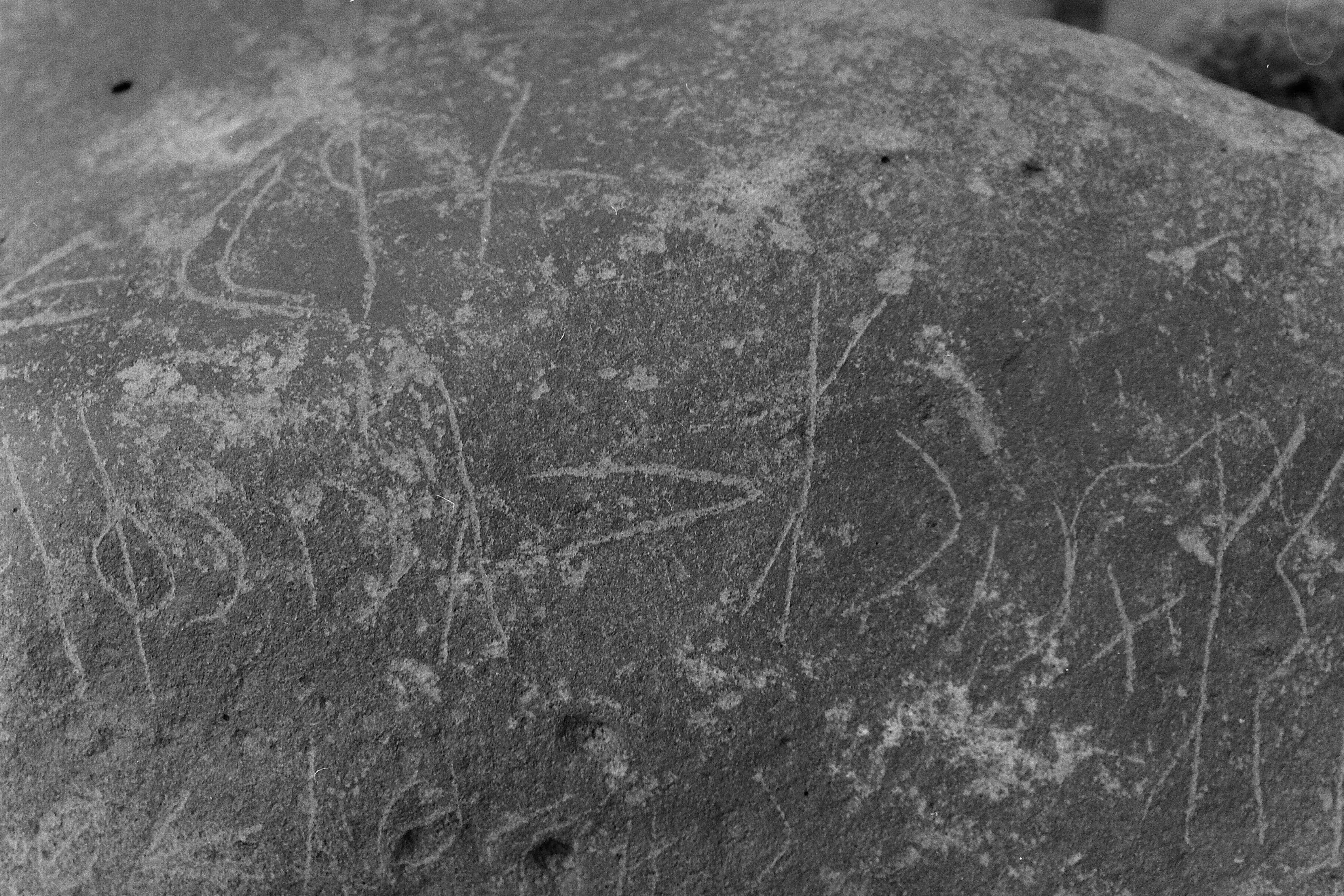 inscription of siglum LP 335