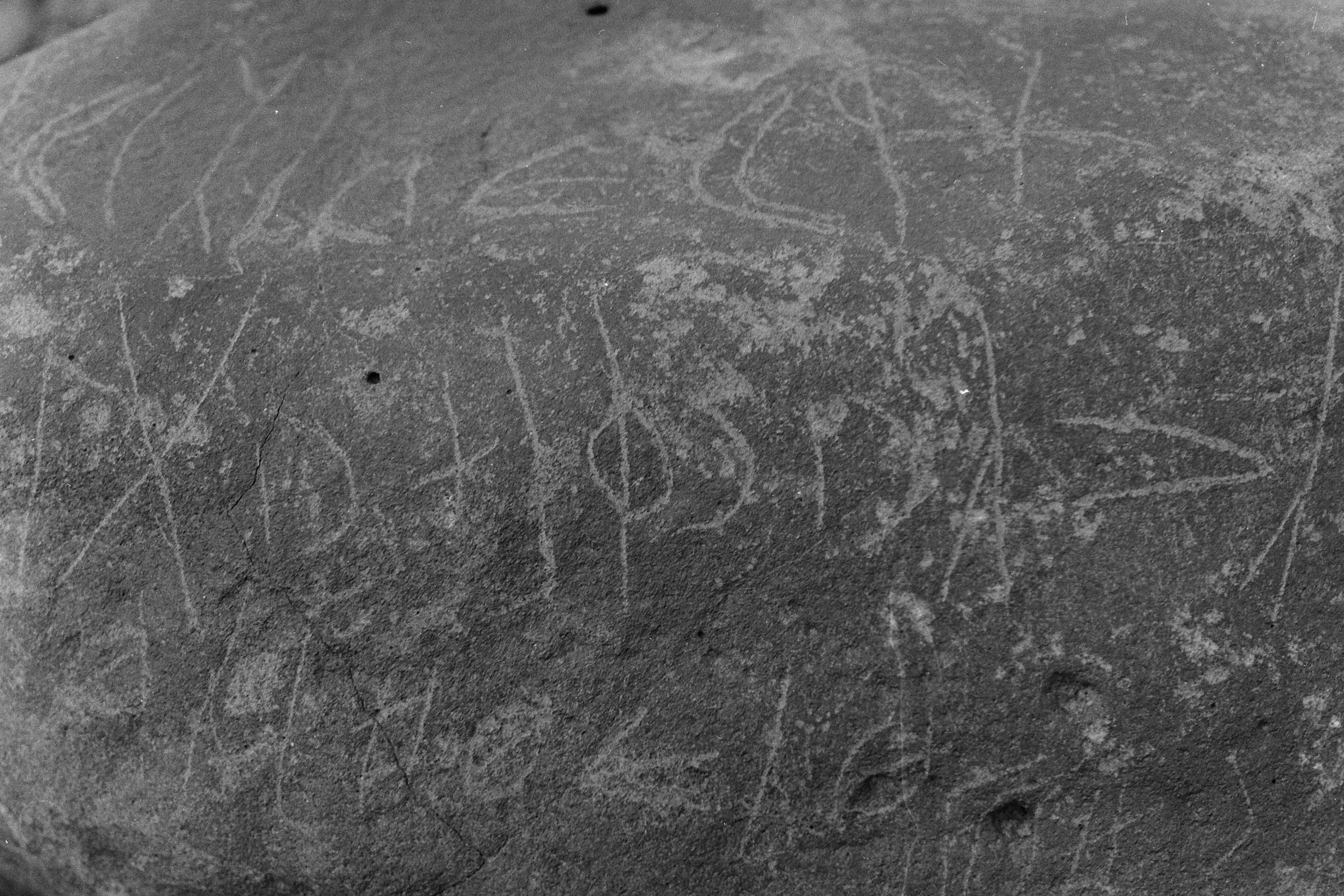 inscription of siglum LP 335