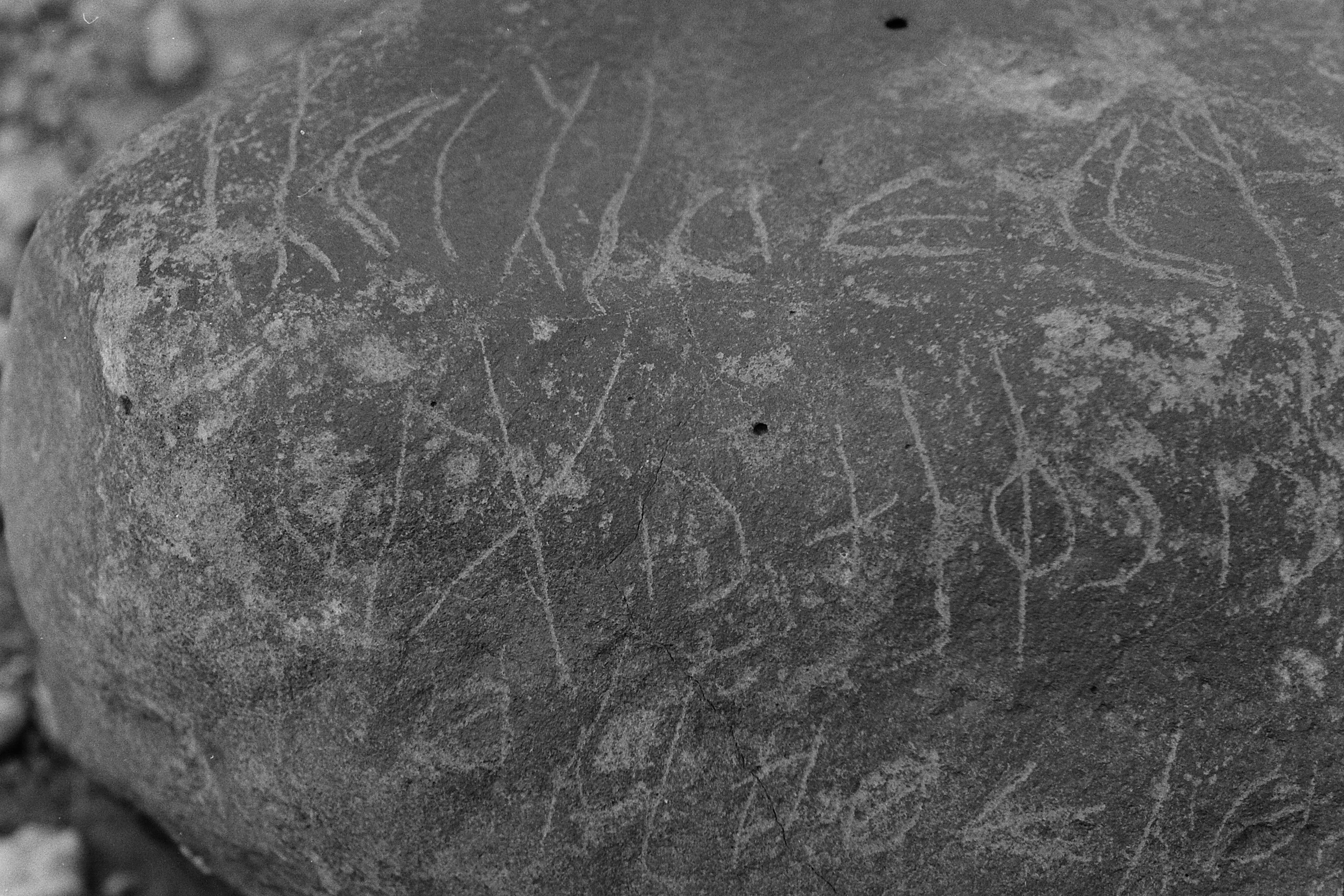 inscription of siglum LP 335