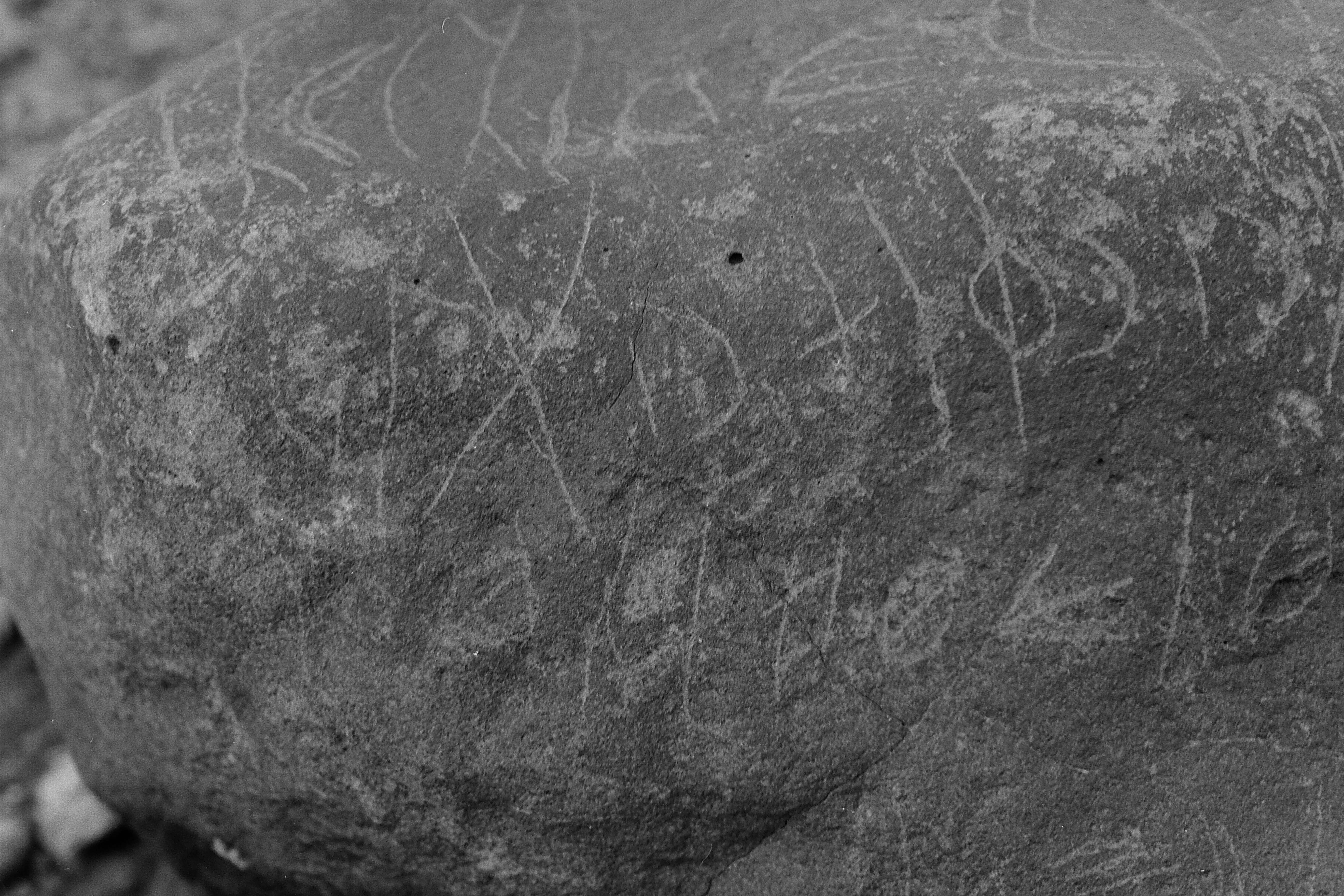 inscription of siglum LP 335