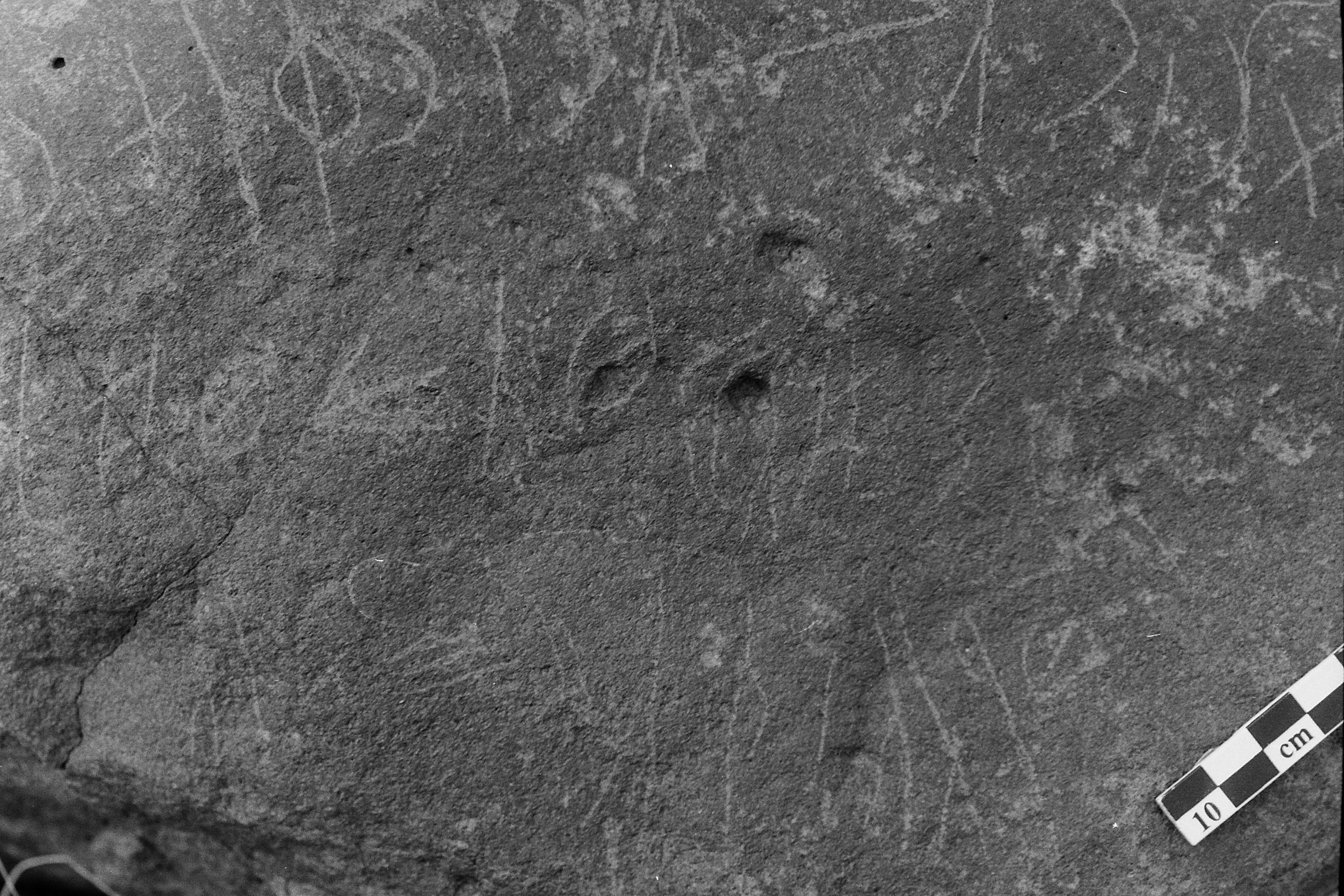 inscription of siglum LP 335