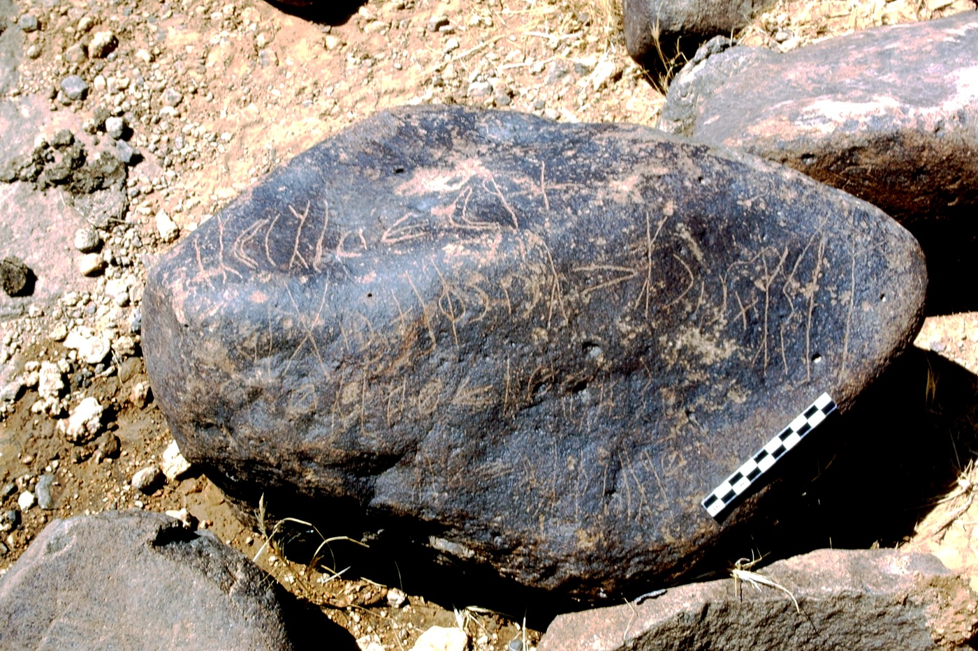 inscription of siglum LP 335
