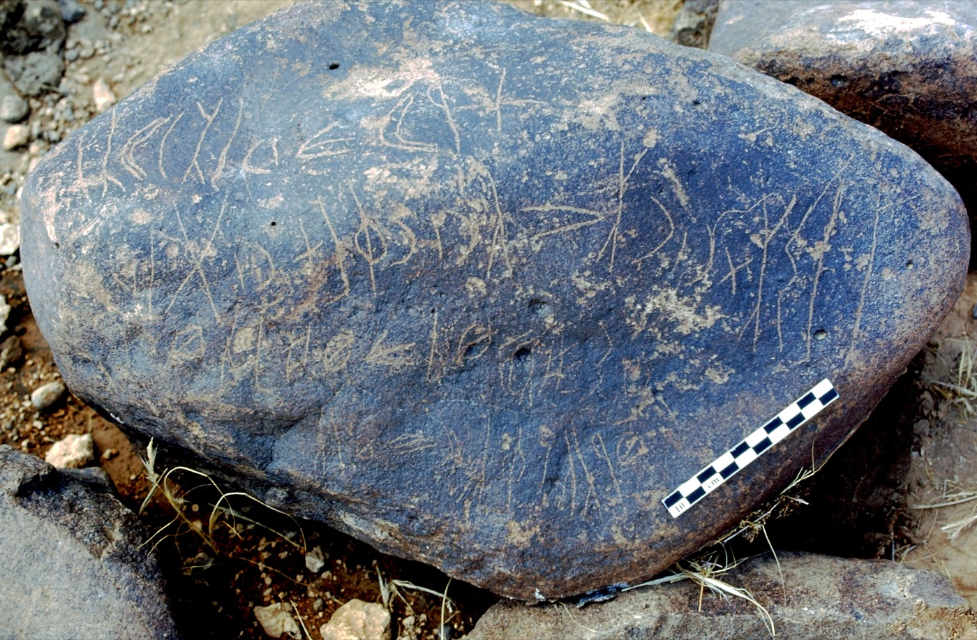 inscription of siglum LP 335