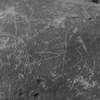 inscription of siglum LP 335
